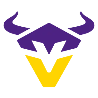 Vienna Vikings Football Logo!