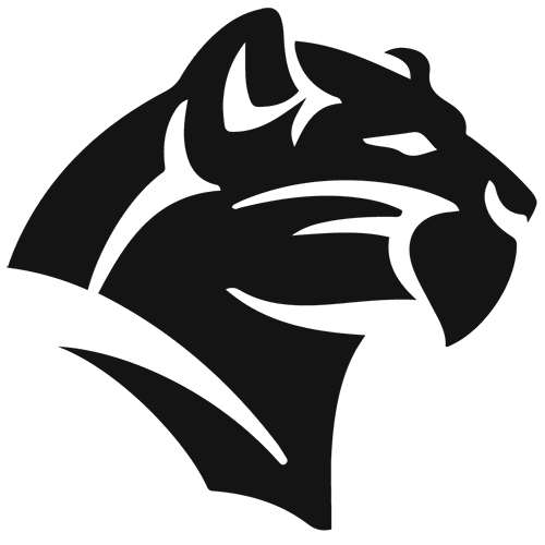 Pioneer Panthers Football