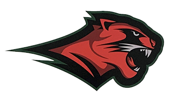 Jamestown Red & Green Football